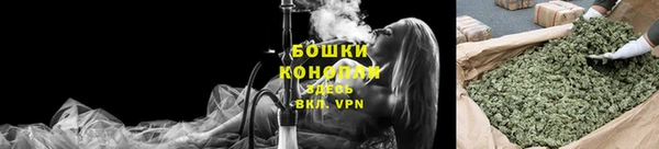 a pvp Белокуриха