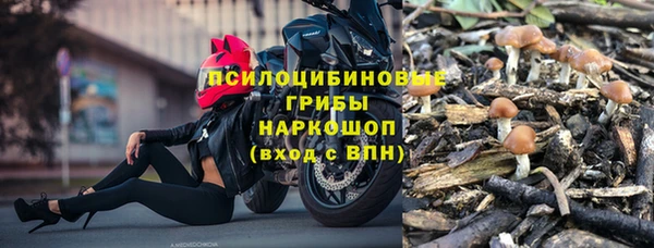 a pvp Белокуриха